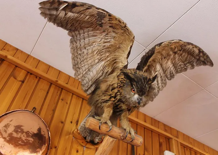 Gufo 3* 보르미오