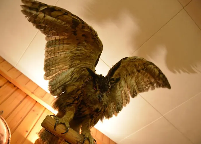 Gufo 3* 보르미오