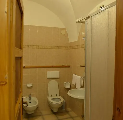 酒店 Gufo 博尔米奥